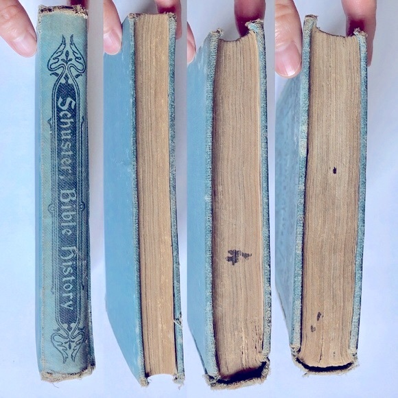 ILLUSTRATED BIBLE HISTORY 1889 By Dr. J. Schuster VINTAGE - Picture 7 of 14